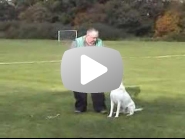 2ad28f5d9993a13261bcc8bfcf4f551f