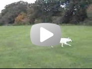 819a00f60e91b61f05d6a83e5e49910f