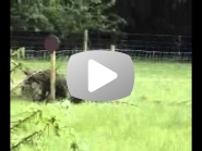 8caacd68cdfe8d4a551df16b9b024577